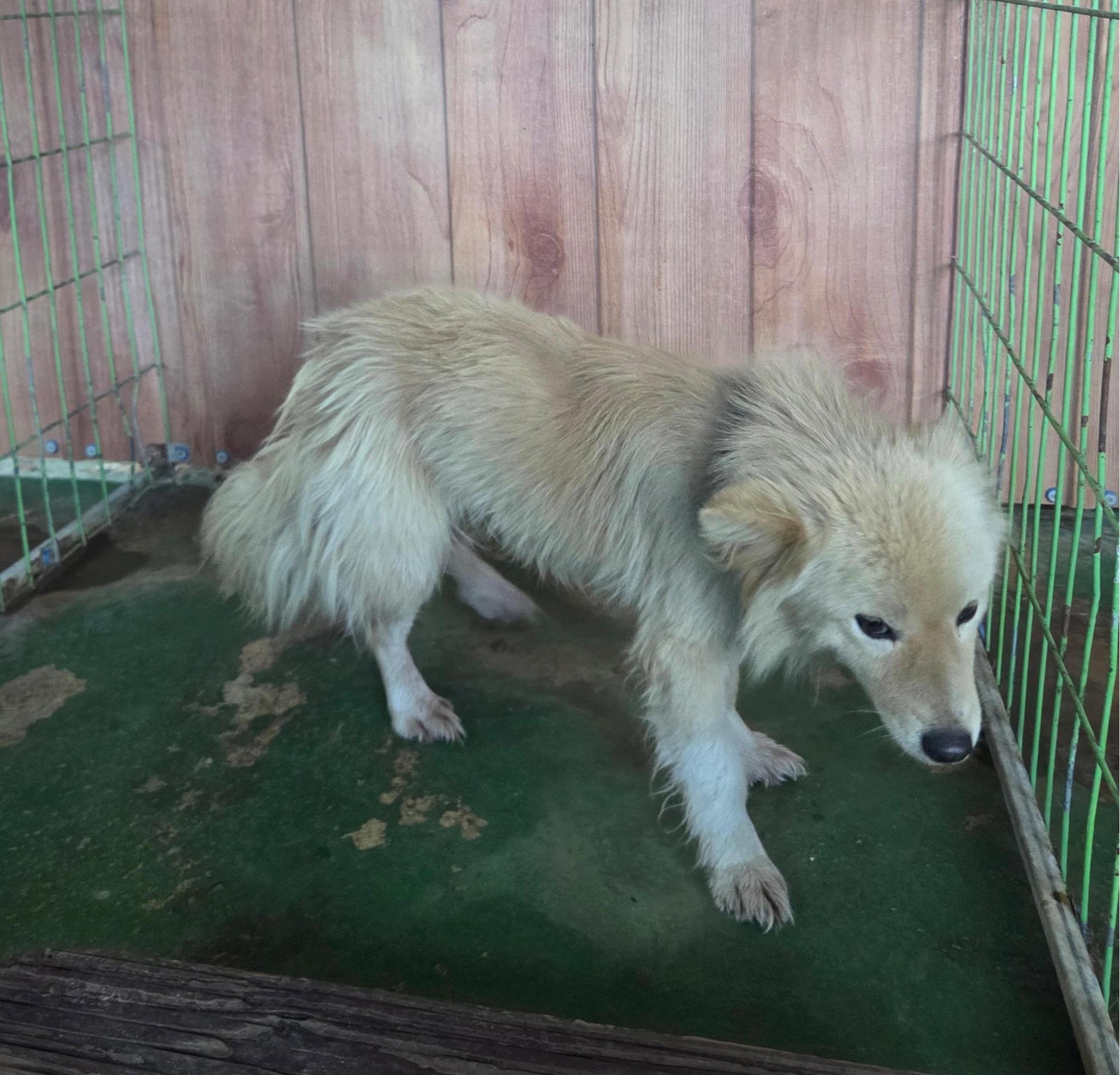 나주유기동물보호센터_446483202501764